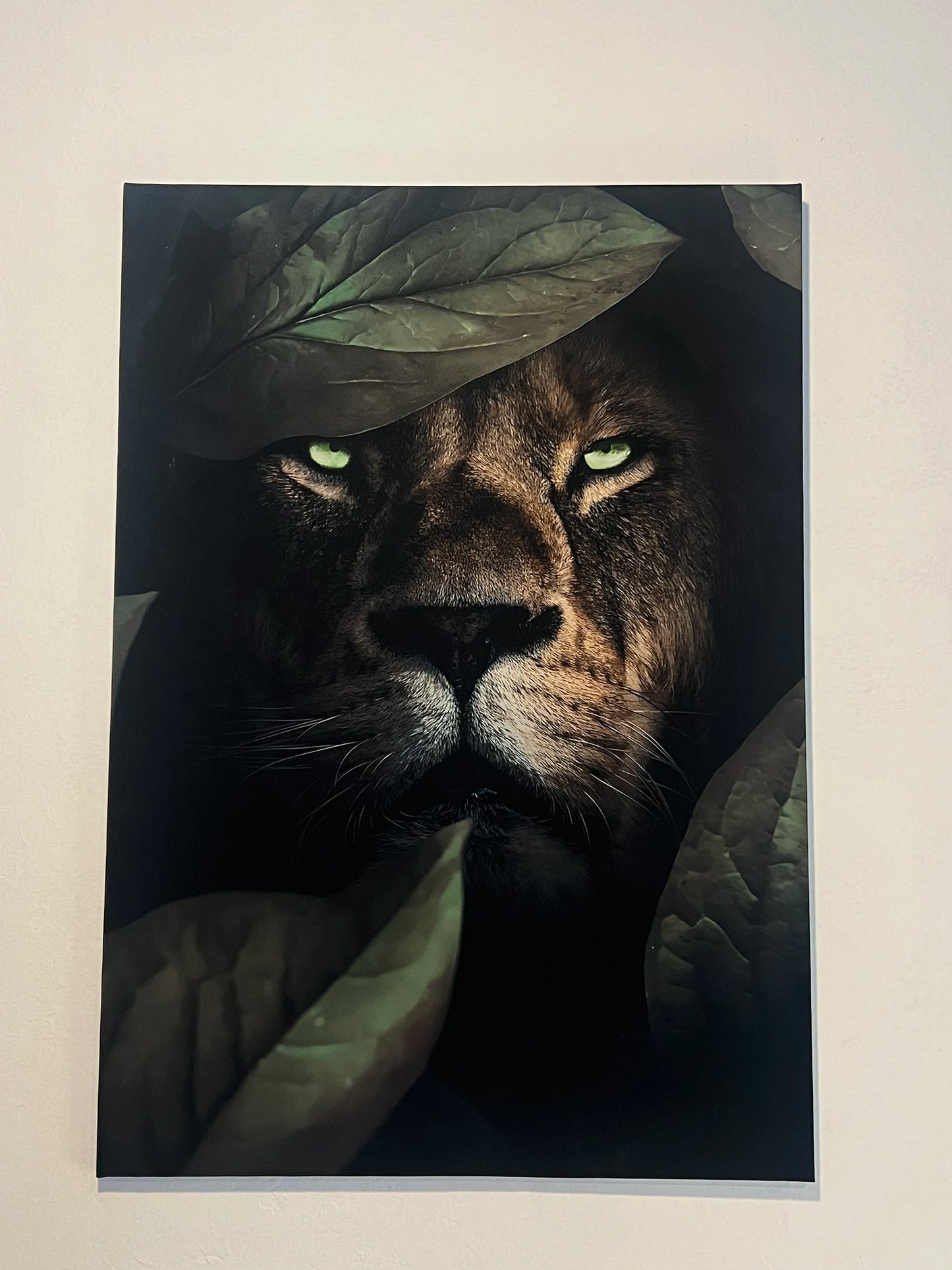 Cuadro 15 Sauvage